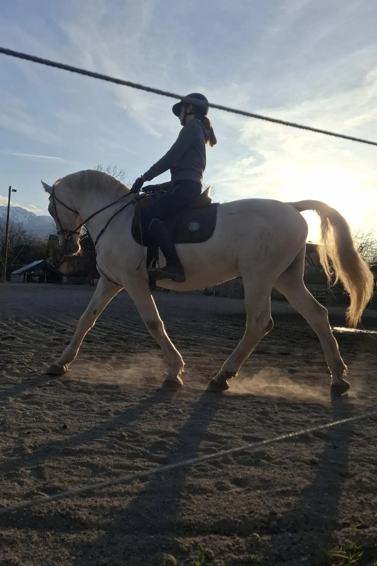 Reitunterricht am Ponyhof Klipp Klapp