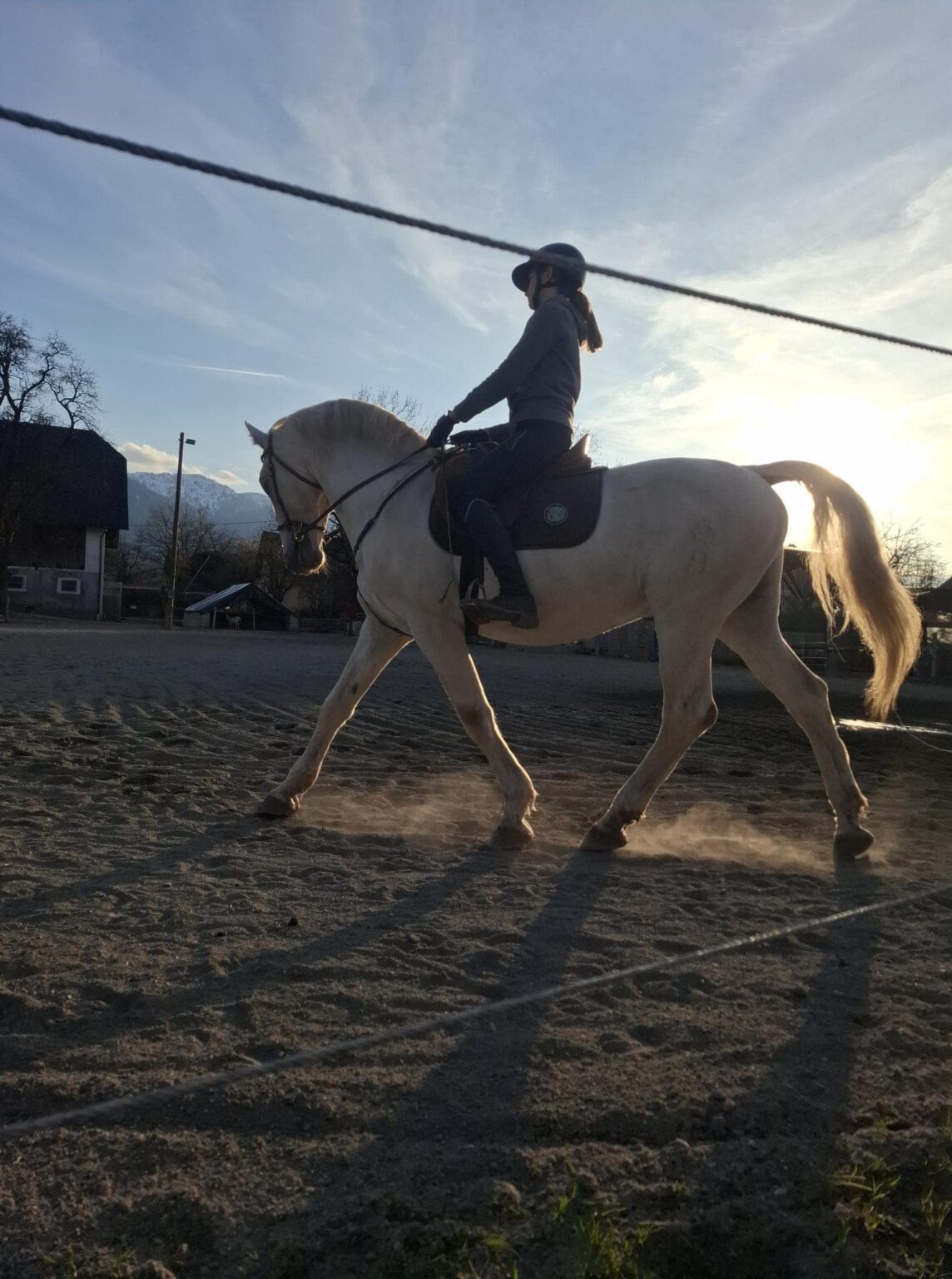 Ponyhof Klip Klapp