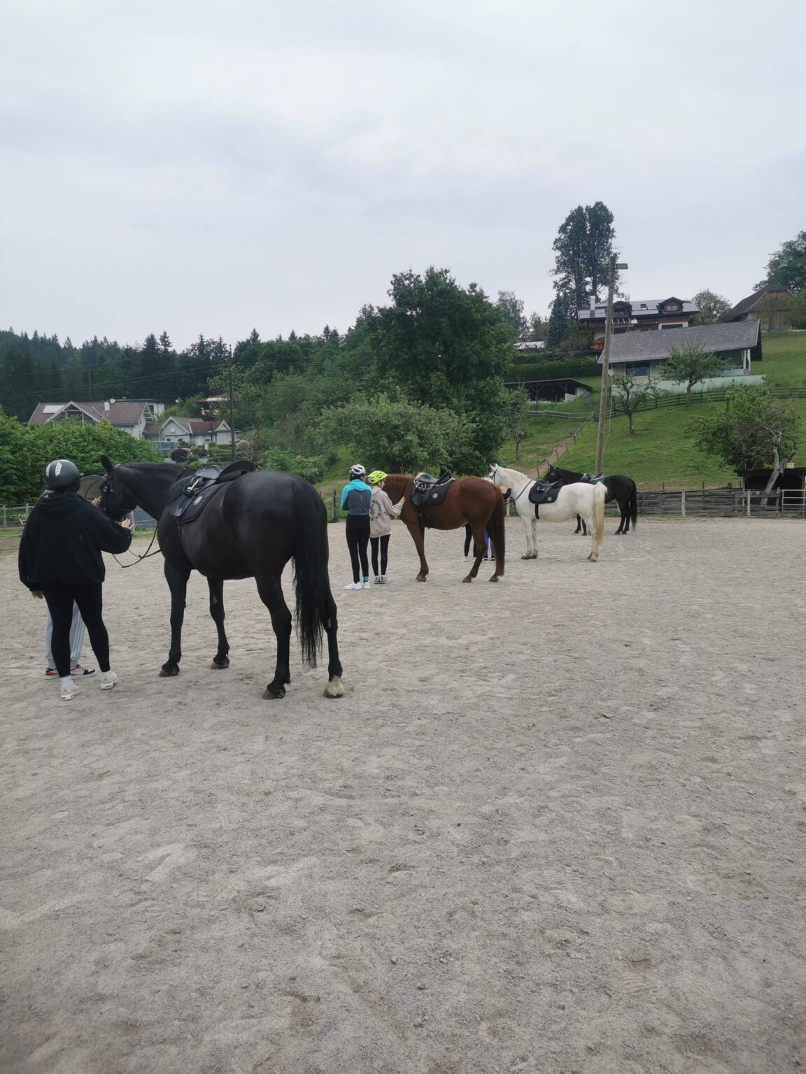Ponyhof Klip Klapp