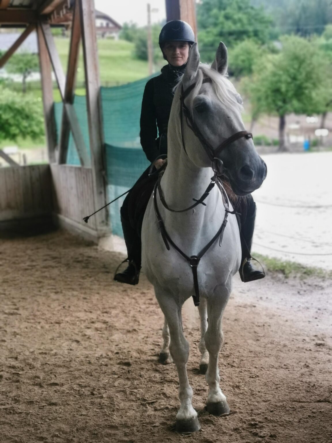 Ponyhof Klip Klapp