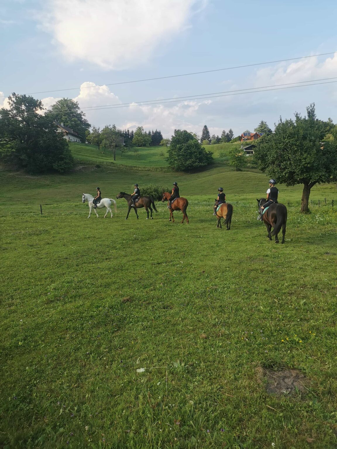 Ponyhof Klip Klapp